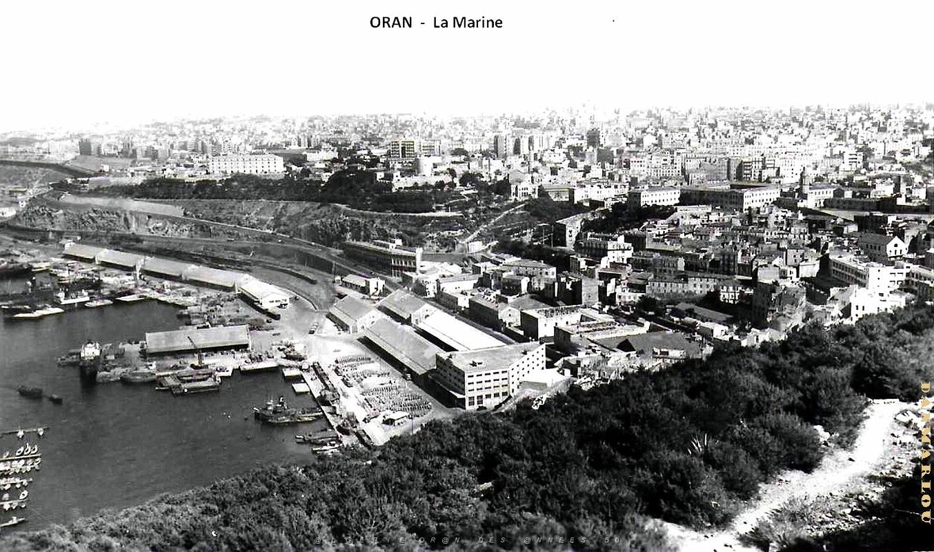 Oran - Marine - Vue aerienne.jpg